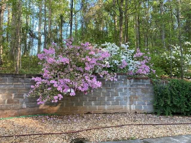 205 Carruth Road Jefferson, GA 30549 - Photo 61 of 69