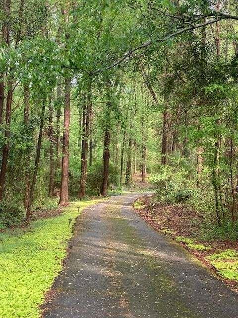 205 Carruth Road Jefferson, GA 30549 - Photo 66 of 69