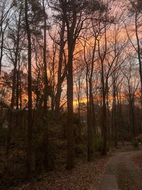 205 Carruth Road Jefferson, GA 30549 - Photo 68 of 69