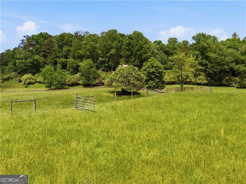 619 Hamp Mill Road Dahlonega, GA 30533 - Photo 109 of 118