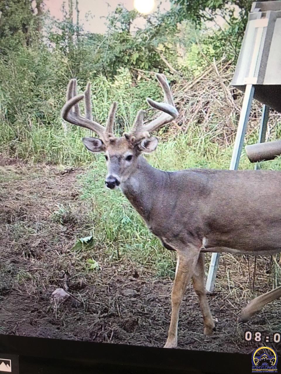 0 102 Road Hoyt, KS 66440 - Photo 2 of 78
