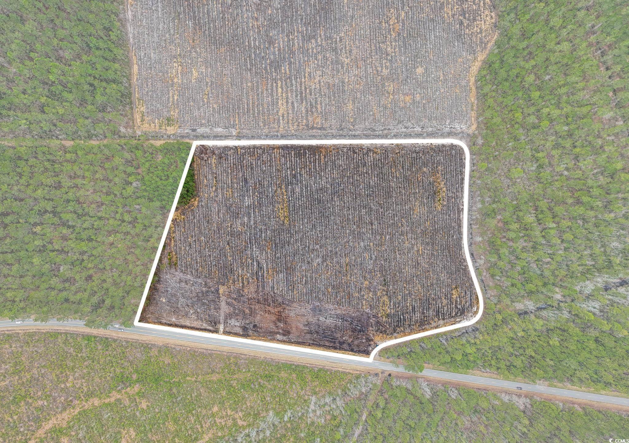 5560 Joyner Swamp Road Aynor, SC 29511 - Photo 17 of 19