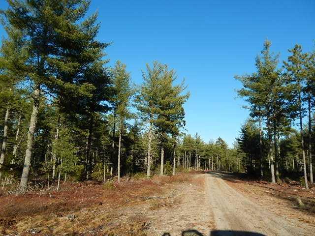 Lot 1 Route 182 Steuben, ME 04680 - Photo 6 of 8 Exterior Front.