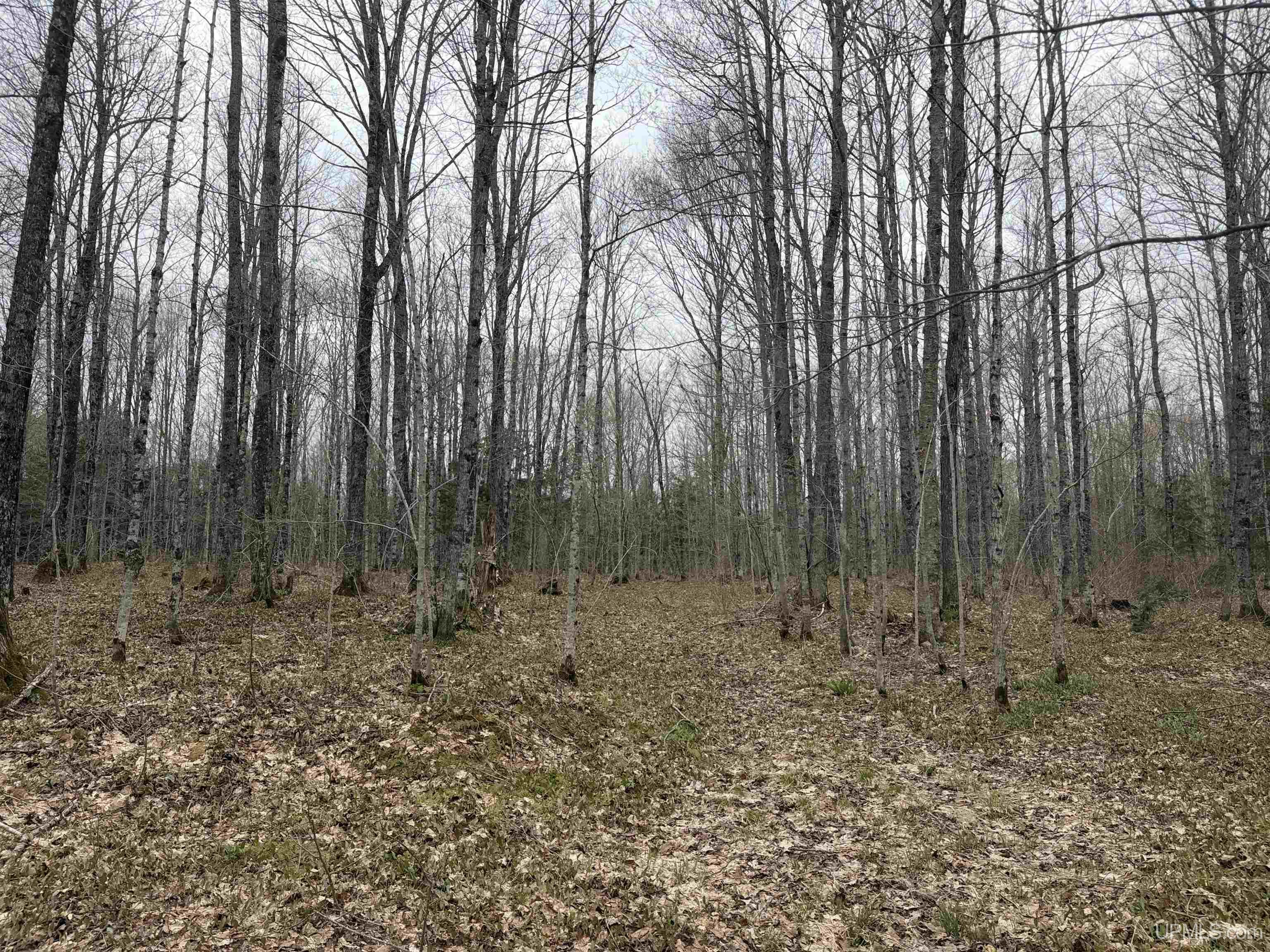 Tbd Lake Road Ironwood, MI 49938 - Photo 16 of 31