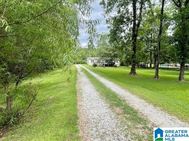 45676 Highway 25 Vincent, AL 35178 - Photo 4 of 22