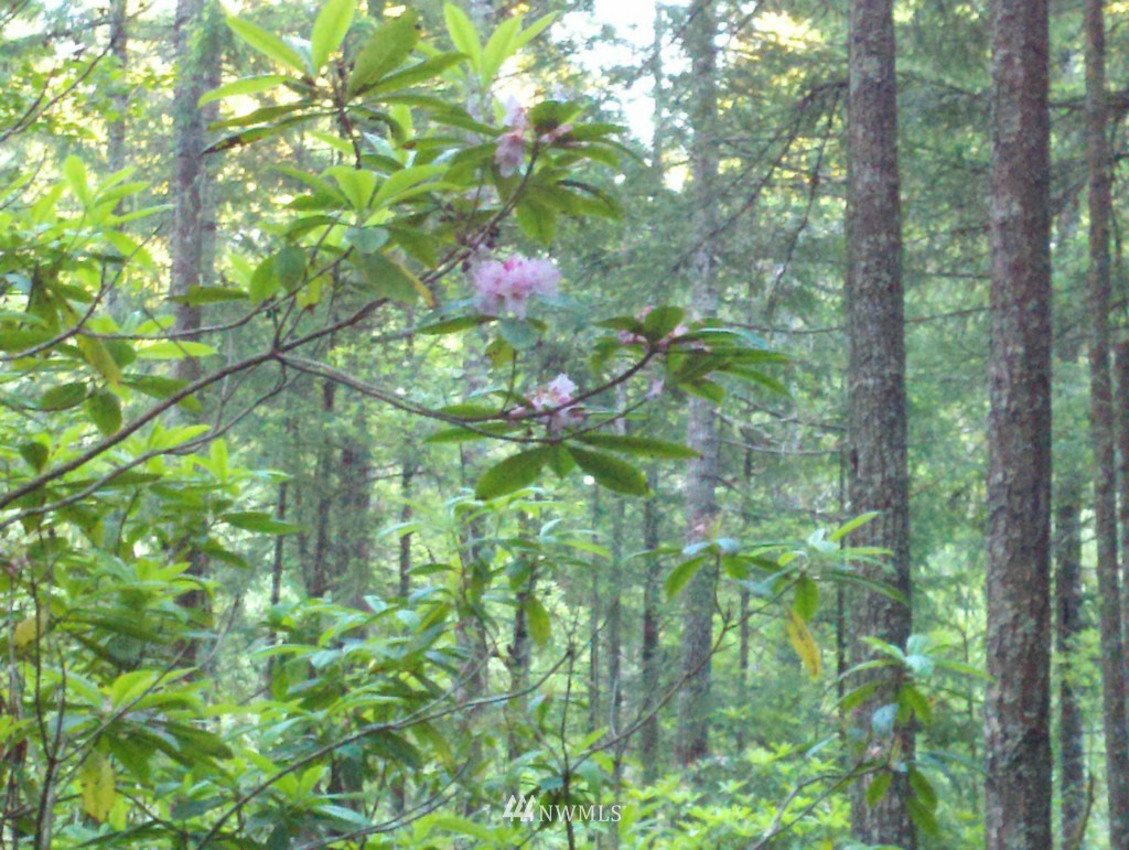 4-ac Northwest Marks Road Bremerton, WA 98312 - Photo 2 of 4 Gallery Image 2