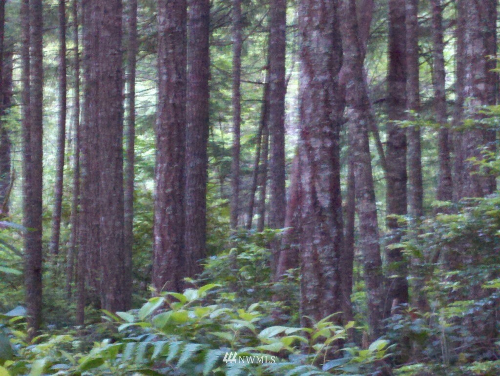 4-ac Northwest Marks Road Bremerton, WA 98312 - Photo 4 of 4 Gallery Image 4