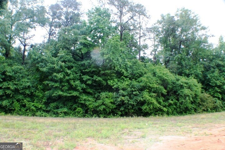 1224 Snow Hill Road Cadwell, GA 31009 - Photo 6 of 11