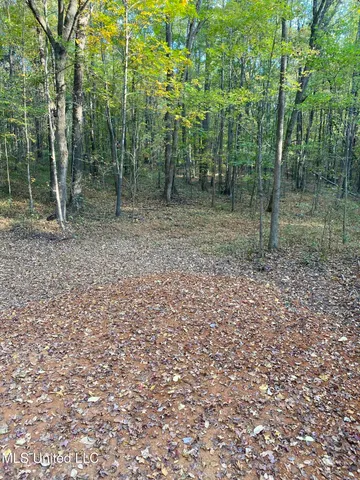$140,000 | 0 Branan Road, Coldwater, MS 38618