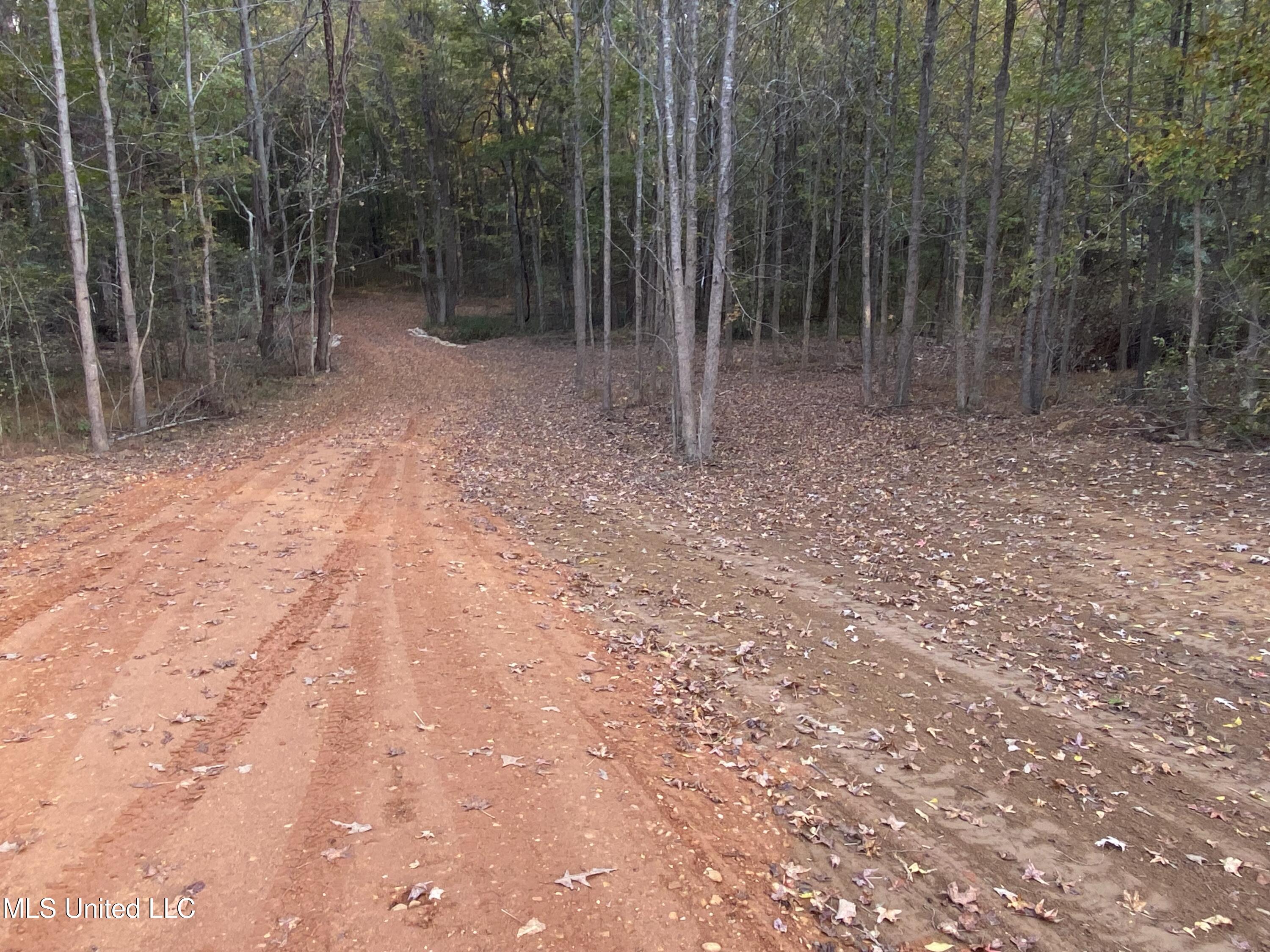 0 Branan Road Coldwater, MS 38618 - Photo 3 of 7 2024-10-28 16.36.44