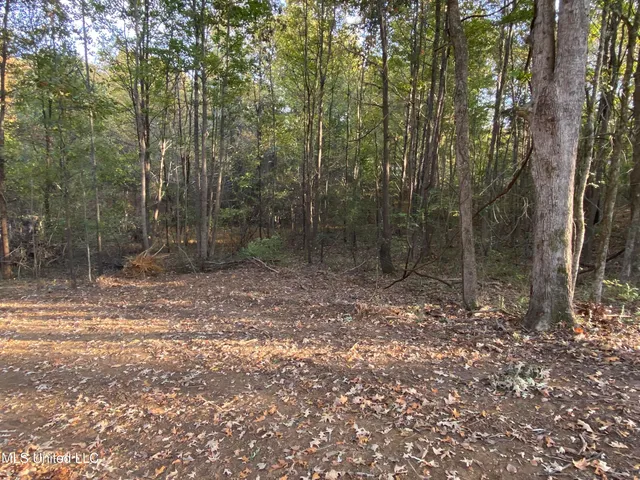 $140,000 | 0 Branan Road, Coldwater, MS 38618