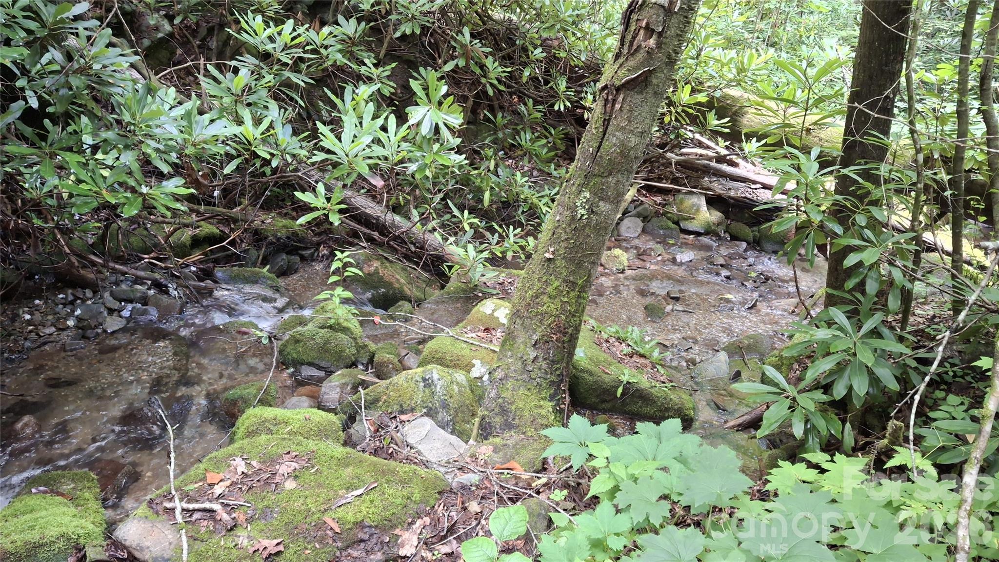 0 Dry Creek Road Robbinsville, NC 28771 - Photo 8 of 20