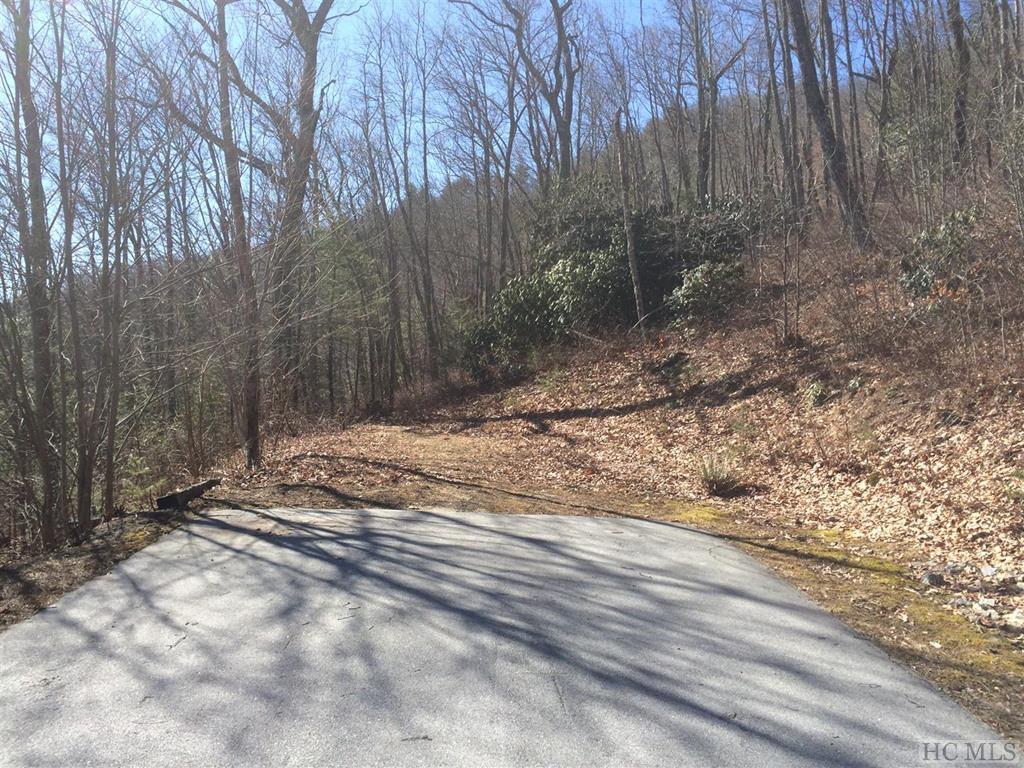 Lot 46 Ledgeview Road Cashiers, NC 28717 - Photo 2 of 10 Gallery Image 2