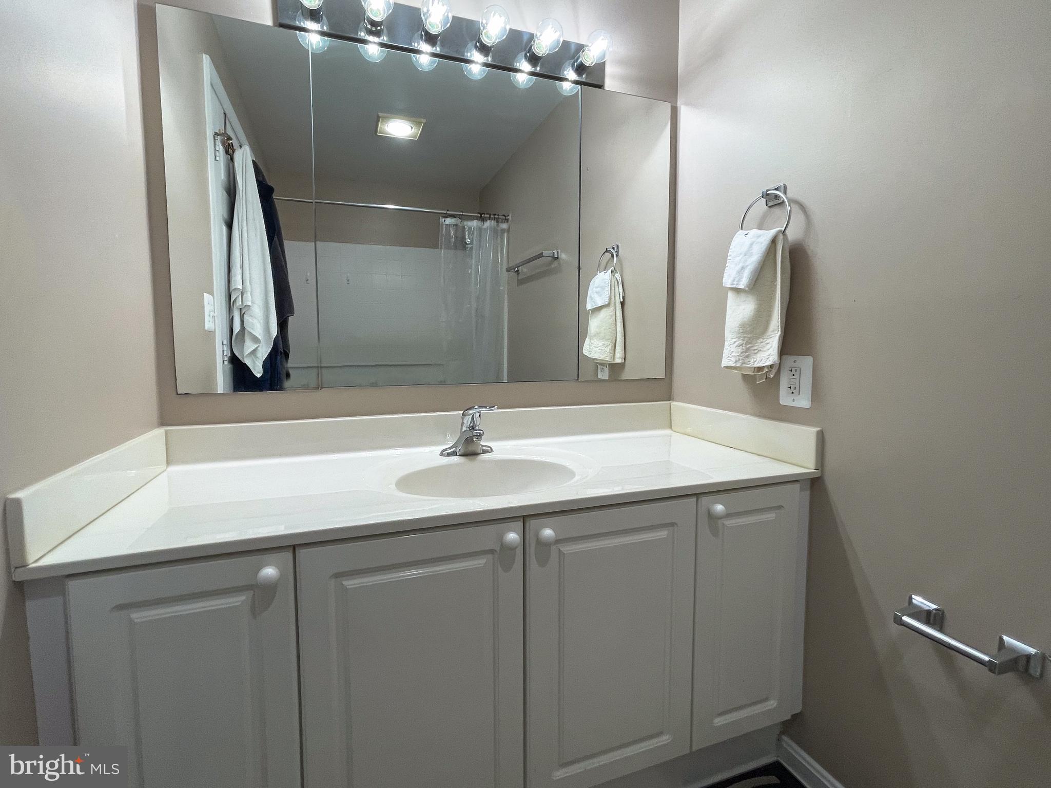 19365 Cypress Ridge Terrace, Unit 1102 Leesburg, VA 20176 - Photo 39 of 60 2nd bathroom