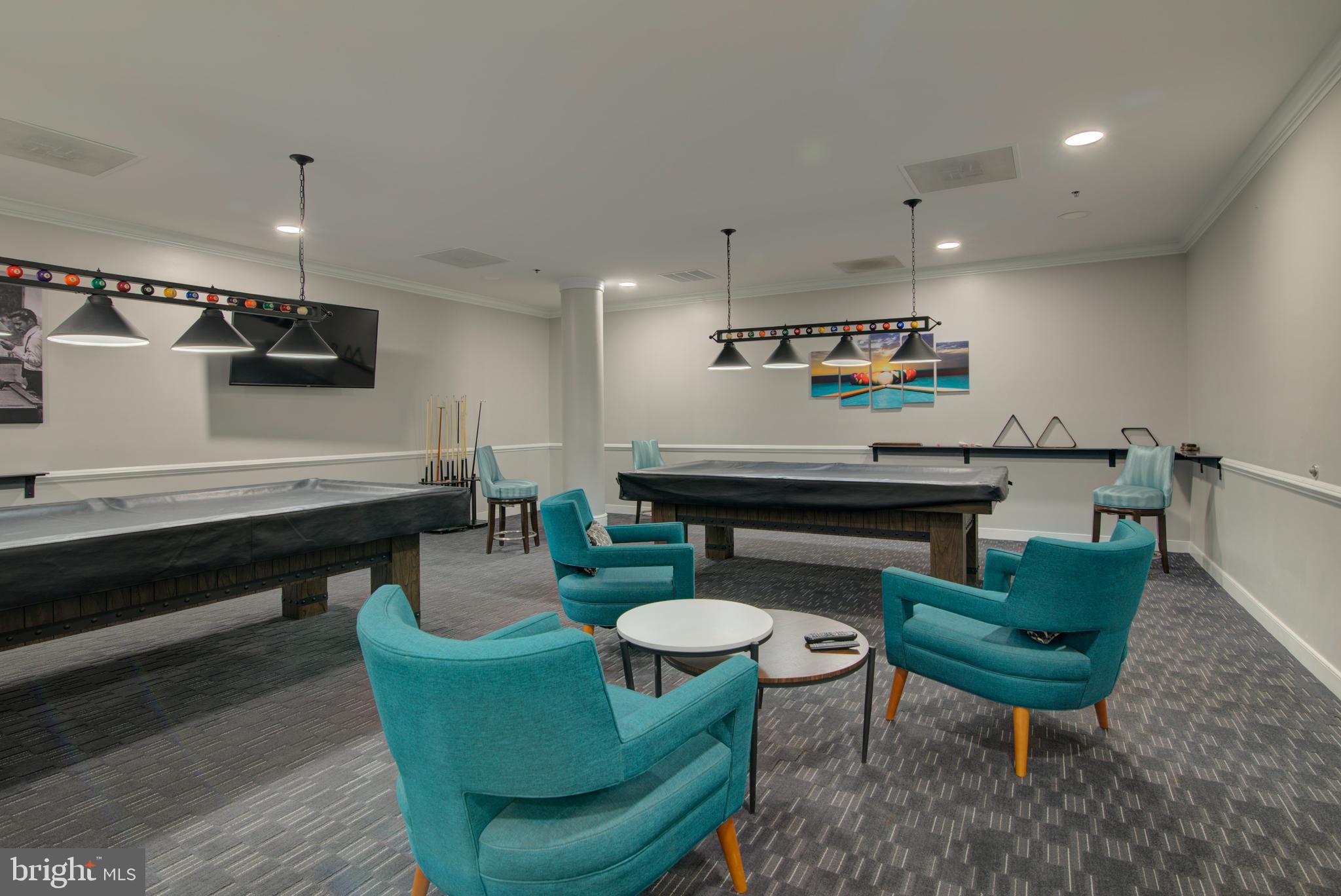 19365 Cypress Ridge Terrace, Unit 1102 Leesburg, VA 20176 - Photo 47 of 60 Time to cue up some fun!