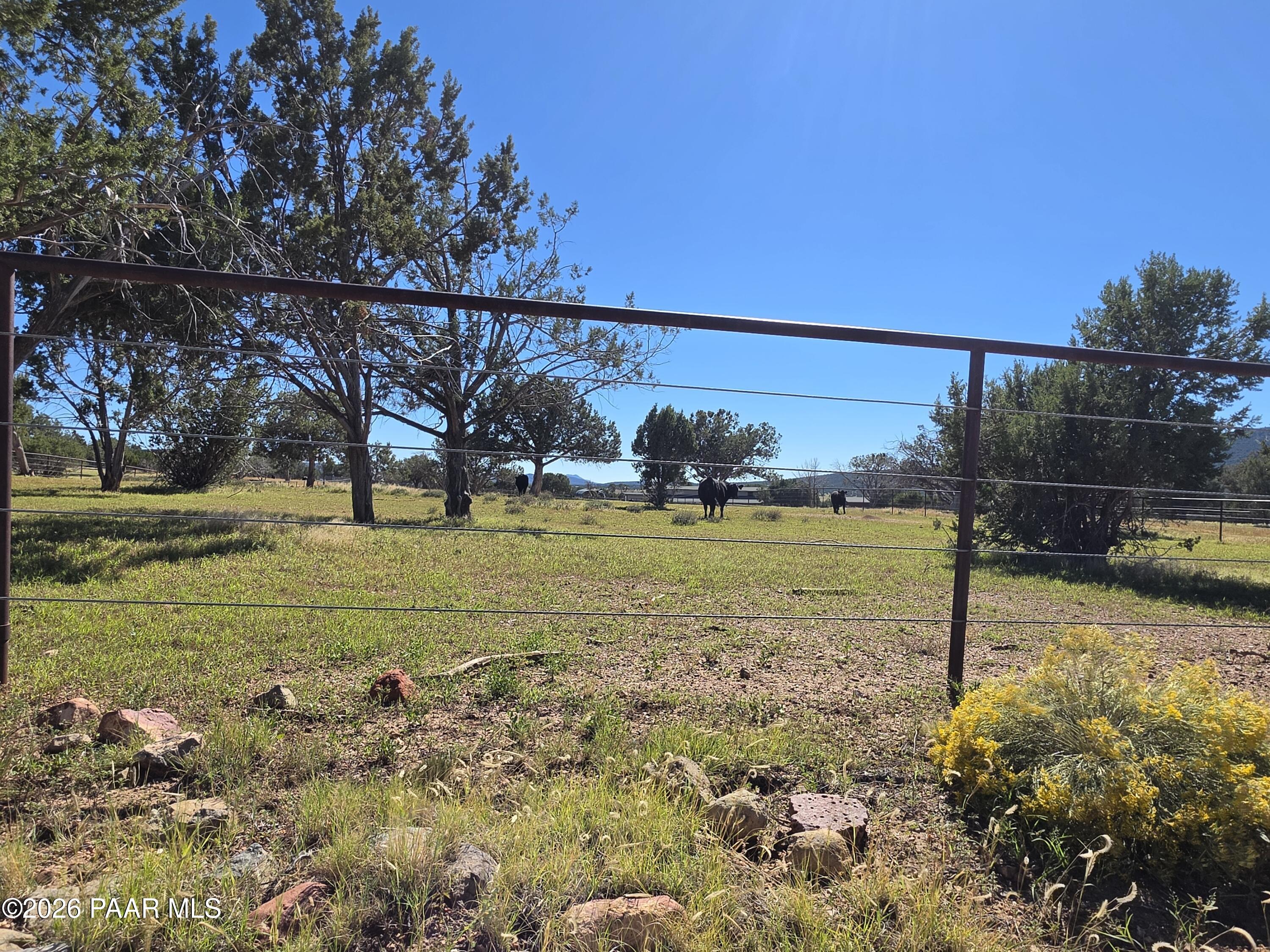 33425 Cowboy Clint Road Seligman, AZ 86337 - Photo 101 of 150 20261004_134804