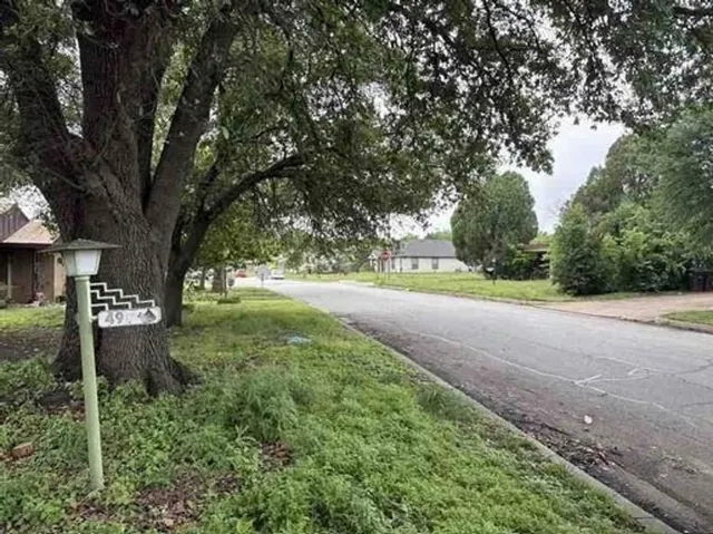 a view of a yard with plants and trees