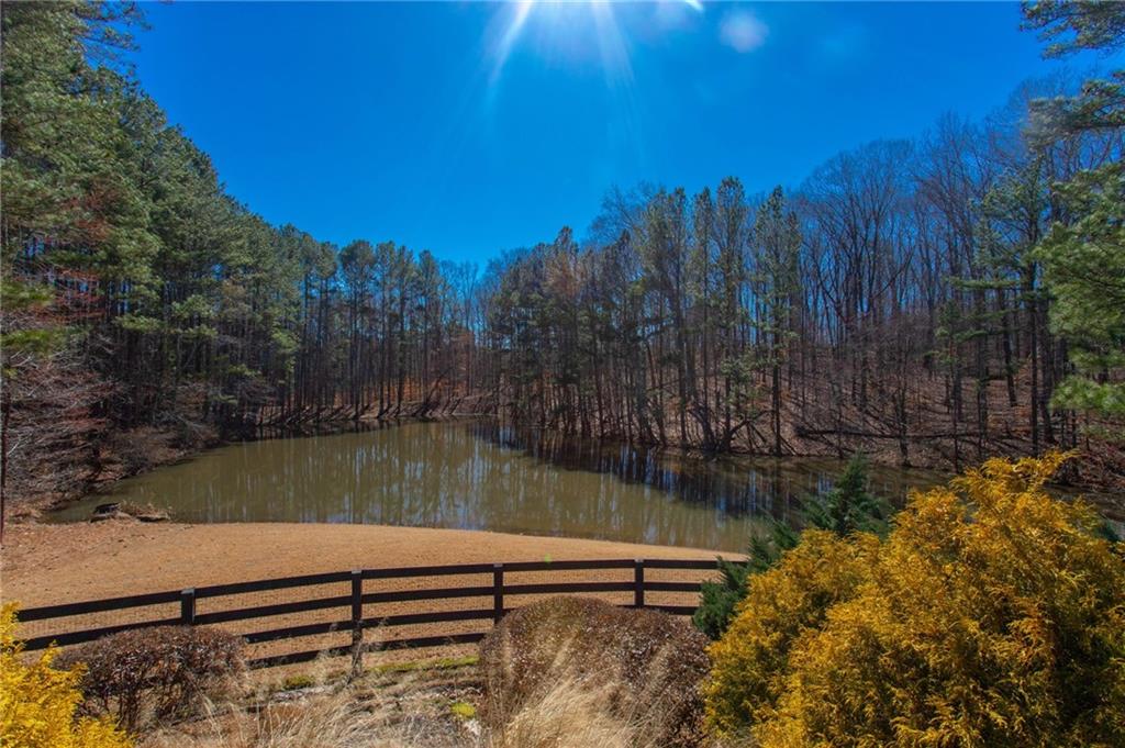 1086 Arbor Hill Road Canton, GA 30115 - Photo 78 of 98