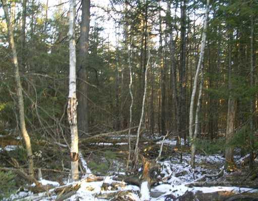 21 White Road Bowdoinham, ME 04008 - Photo 14 of 16 Land/Lot.