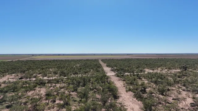 $449,900 | 0 Cr 3186 Colorado City Tx 79512, Colorado City, TX 79512