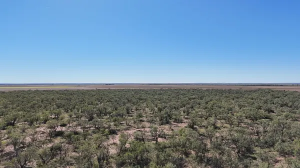 $489,900 | 0 Cr 3186 Colorado City Tx 79512, Colorado City, TX 79512