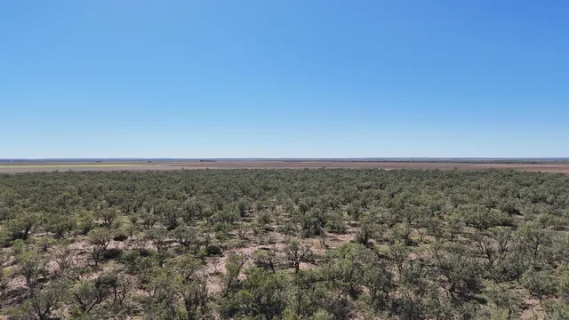 $449,900 | 0 Cr 3186 Colorado City Tx 79512, Colorado City, TX 79512