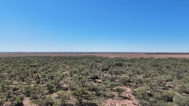 $449,900 | 0 Cr 3186 Colorado City Tx 79512, Colorado City, TX 79512