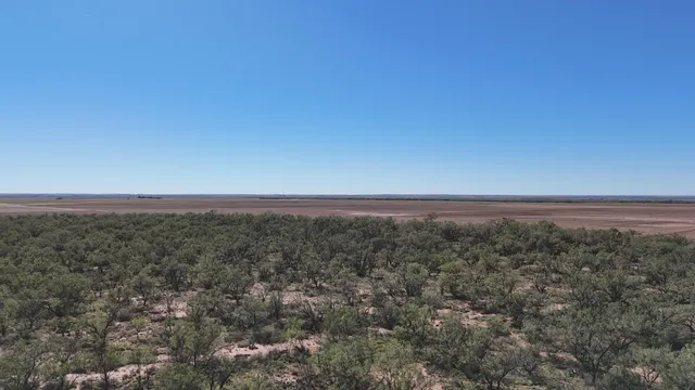 $449,900 | 0 Cr 3186 Colorado City Tx 79512, Colorado City, TX 79512