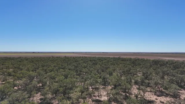 $449,900 | 0 Cr 3186 Colorado City Tx 79512, Colorado City, TX 79512