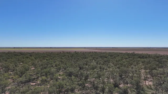 $449,900 | 0 Cr 3186 Colorado City Tx 79512, Colorado City, TX 79512