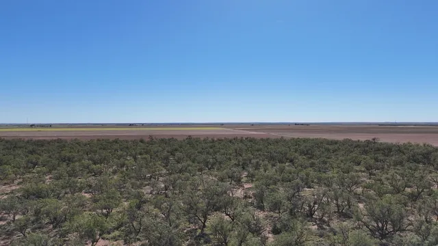 $449,900 | 0 Cr 3186 Colorado City Tx 79512, Colorado City, TX 79512