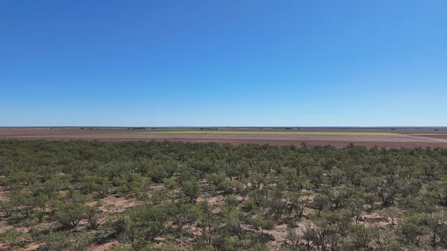 $449,900 | 0 Cr 3186 Colorado City Tx 79512, Colorado City, TX 79512