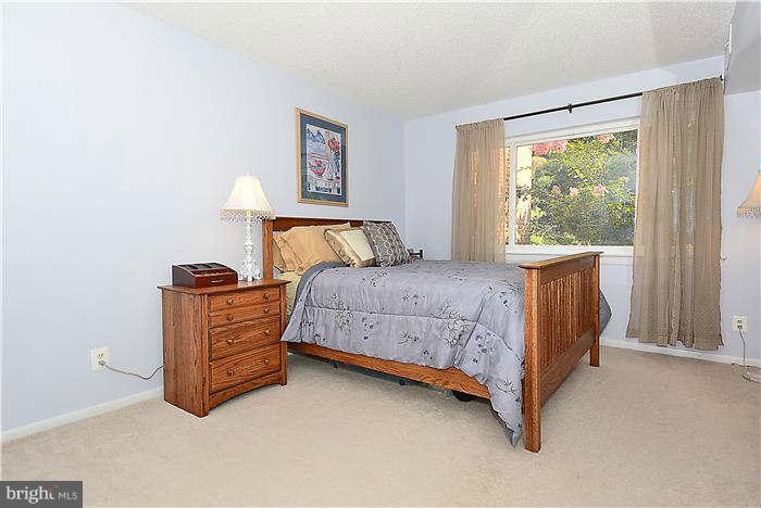 11835 Shire Court, Unit 21B Reston, VA 20191 - Photo 11 of 14 Bedroom (Master)
