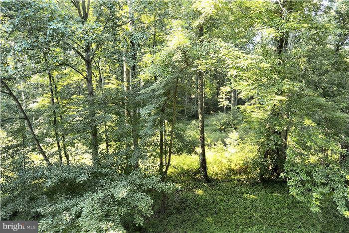 11835 Shire Court, Unit 21B Reston, VA 20191 - Photo 14 of 14 woodland view from the balcony
