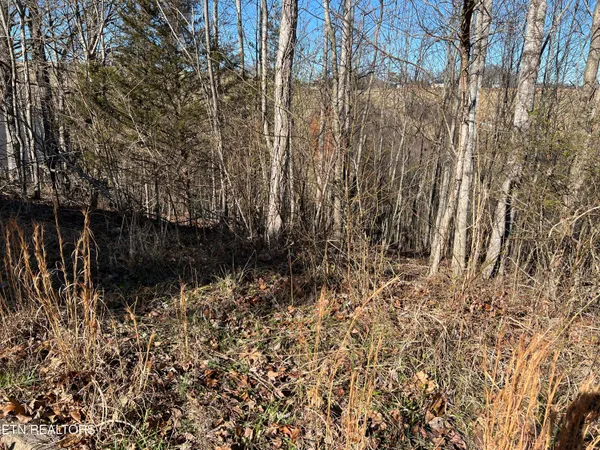 $49,900 | Baldwin View Drive, New Market, TN 37820