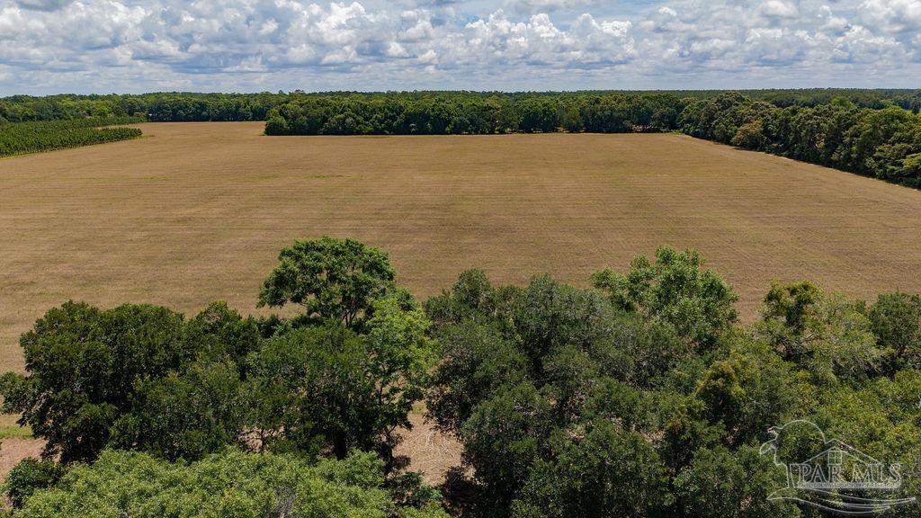 17 Three Three Oaks Lane Pace, FL 32571 - Photo 1 of 10