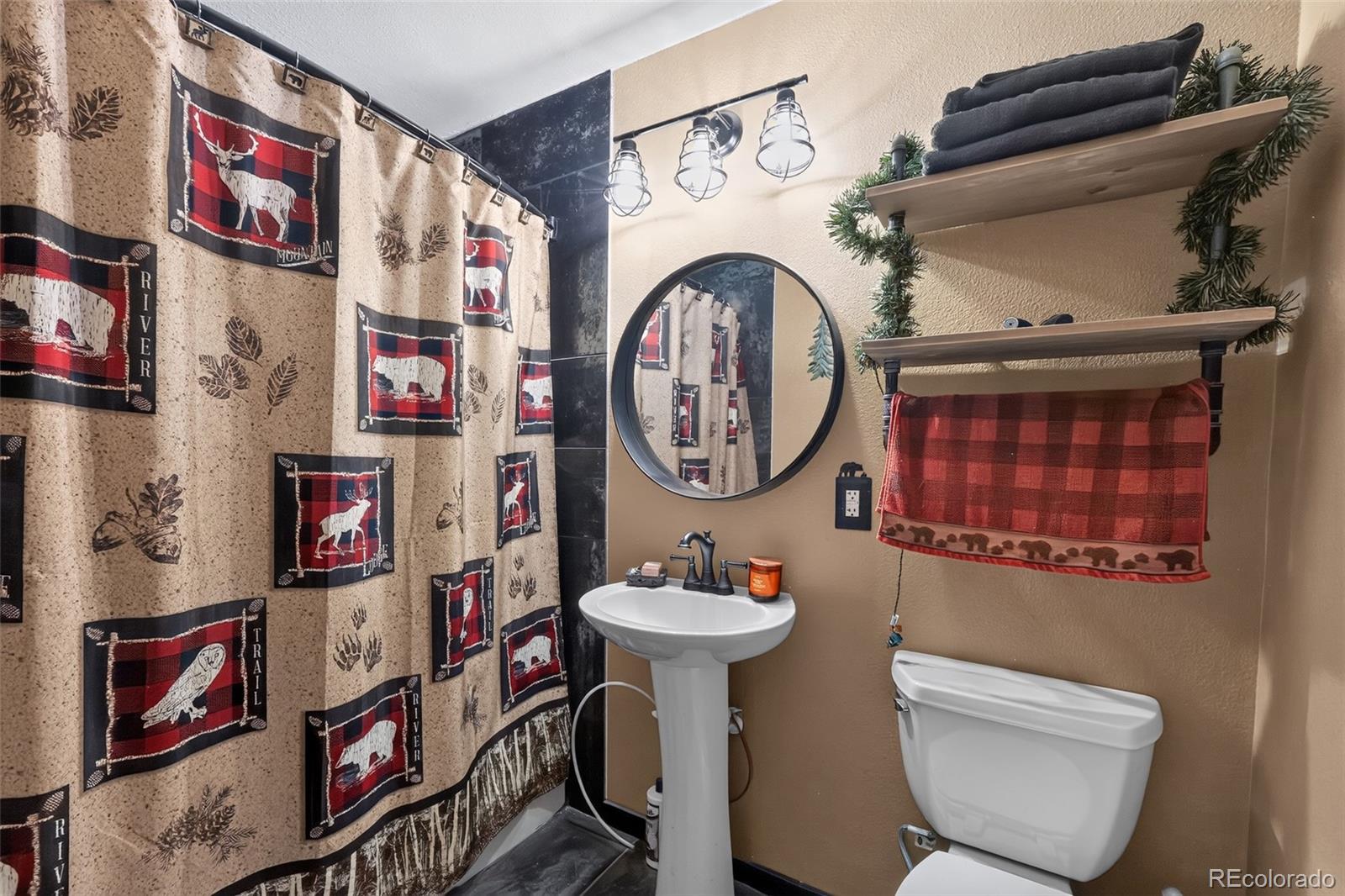 1089 Burland Drive Bailey, CO 80421 - Photo 18 of 27 Gallery Image 18
