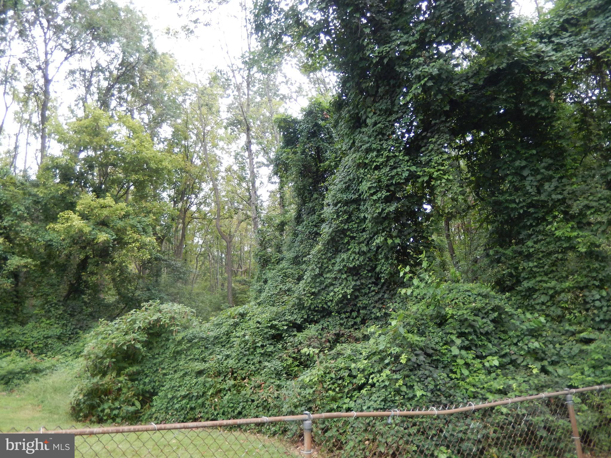 3507 Teton Road Philadelphia, PA 19154 - Photo 28 of 29 View from Yard