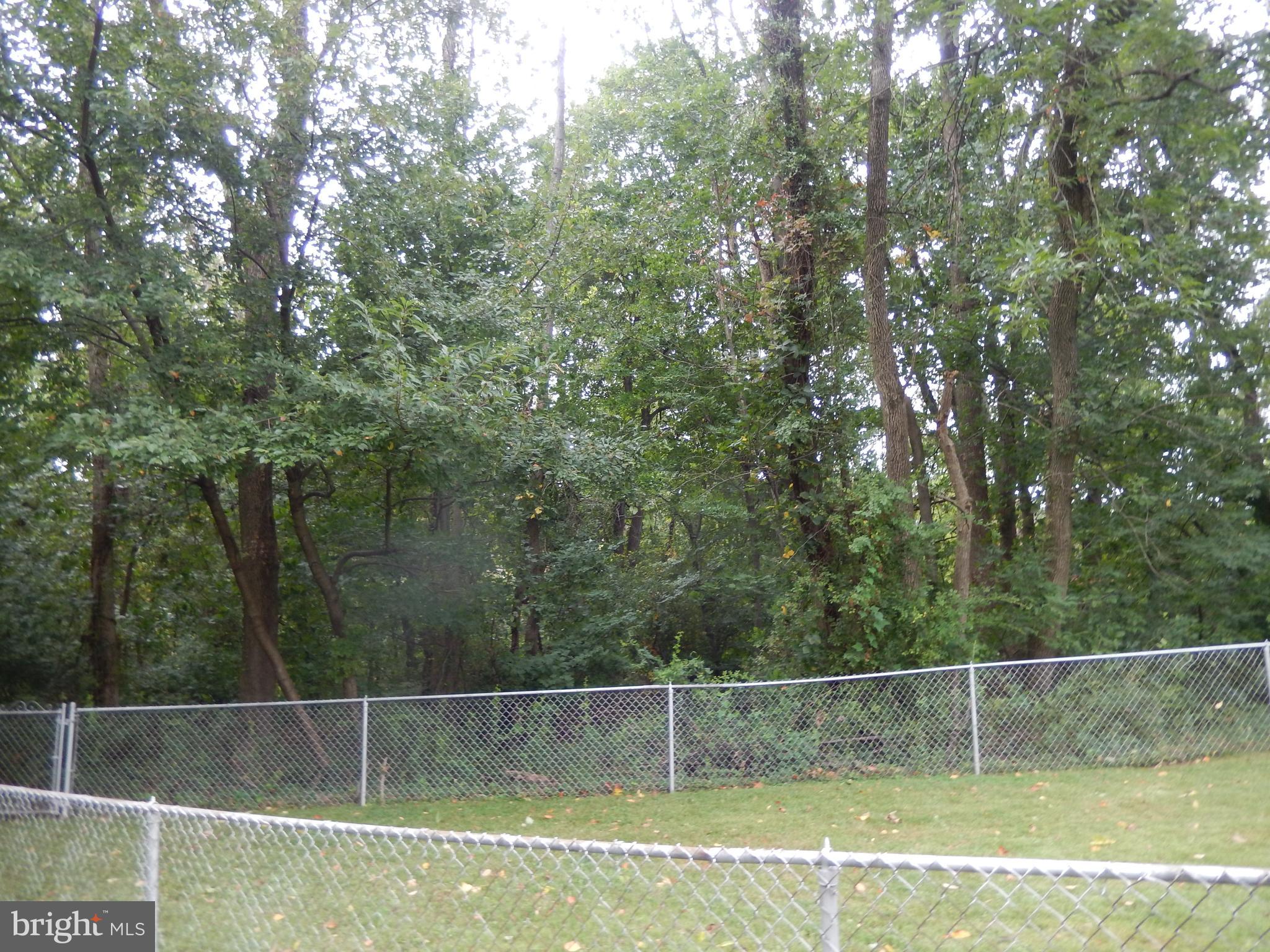 3507 Teton Road Philadelphia, PA 19154 - Photo 29 of 29 View from Yard