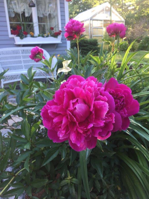 147 Webber Road Georgetown, ME 04548 - Photo 2 of 17 IMG_1713