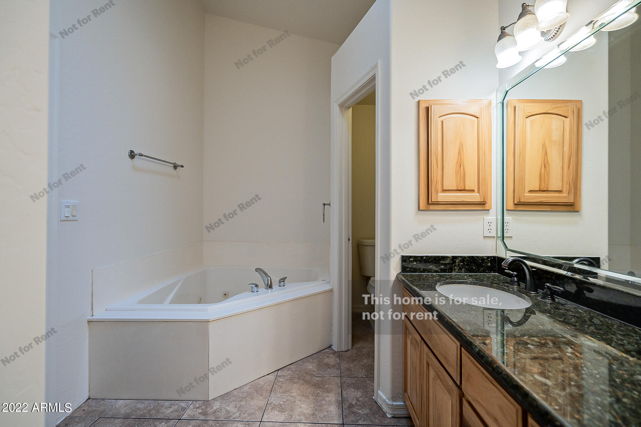 2616 North Sixshooter Road Apache Junction, AZ 85119 - Photo 6 of 21 listing_3