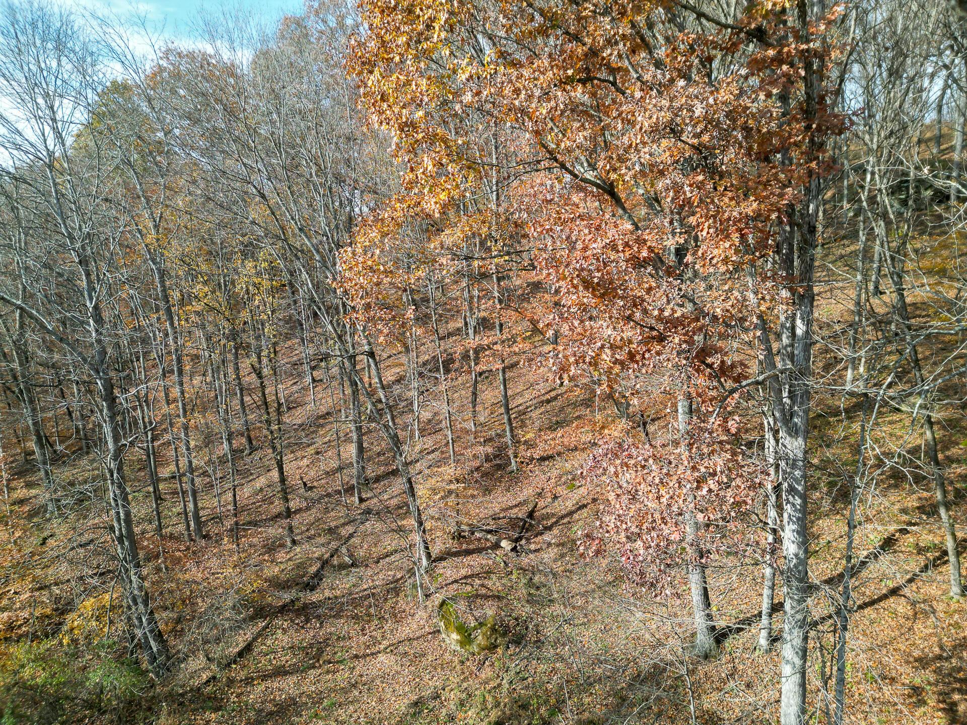 0 Keystone Road, Unit CREEKVIEW CABIN) Vinton, OH 45686 - Photo 75 of 95 CT-75