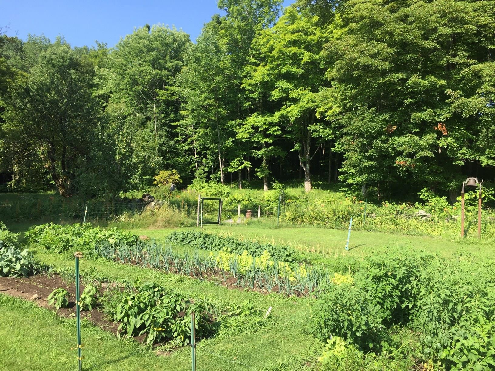 1607 Massey Road Springfield, VT 05156 - Photo 50 of 58