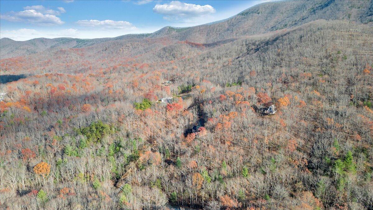 425 Ivy Mountain Road Buchanan, VA 24066 - Photo 44 of 50 079-DJI_0079
