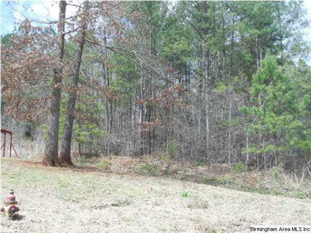 0 Rainbow Ridge Road, Unit 30 ACRES Anniston, AL 36207 - Photo 5 of 12