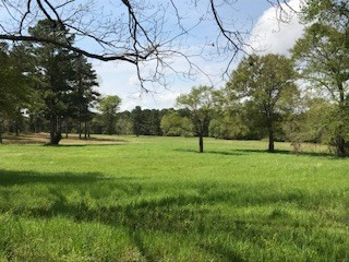 Lot T-2 Lot T-2 Burkelo Road Wagener, SC 29164 - Photo 11 of 15