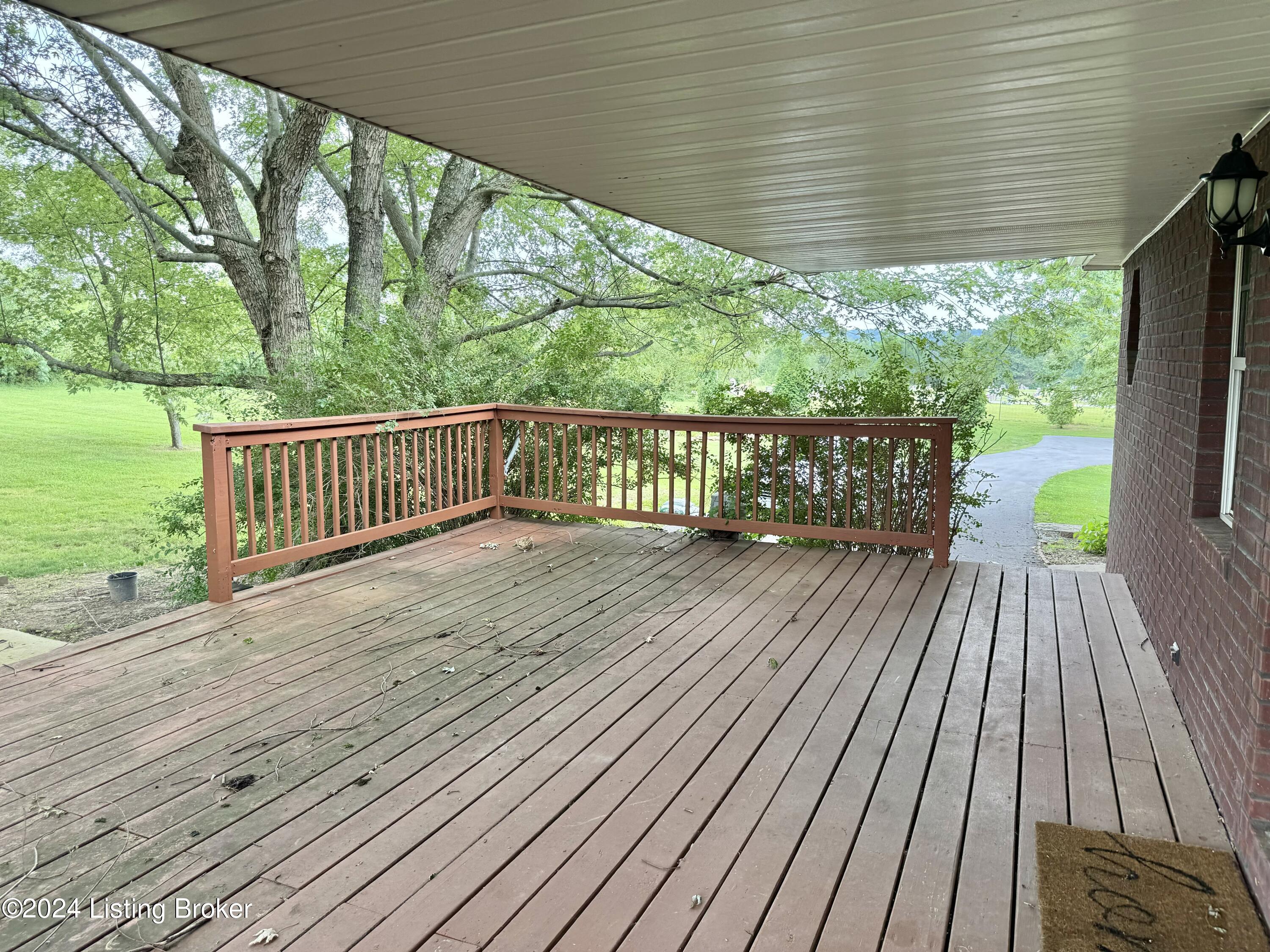 4162 Falls Of Rough Road Caneyville, KY 42721 - Photo 7 of 25 Rear deck