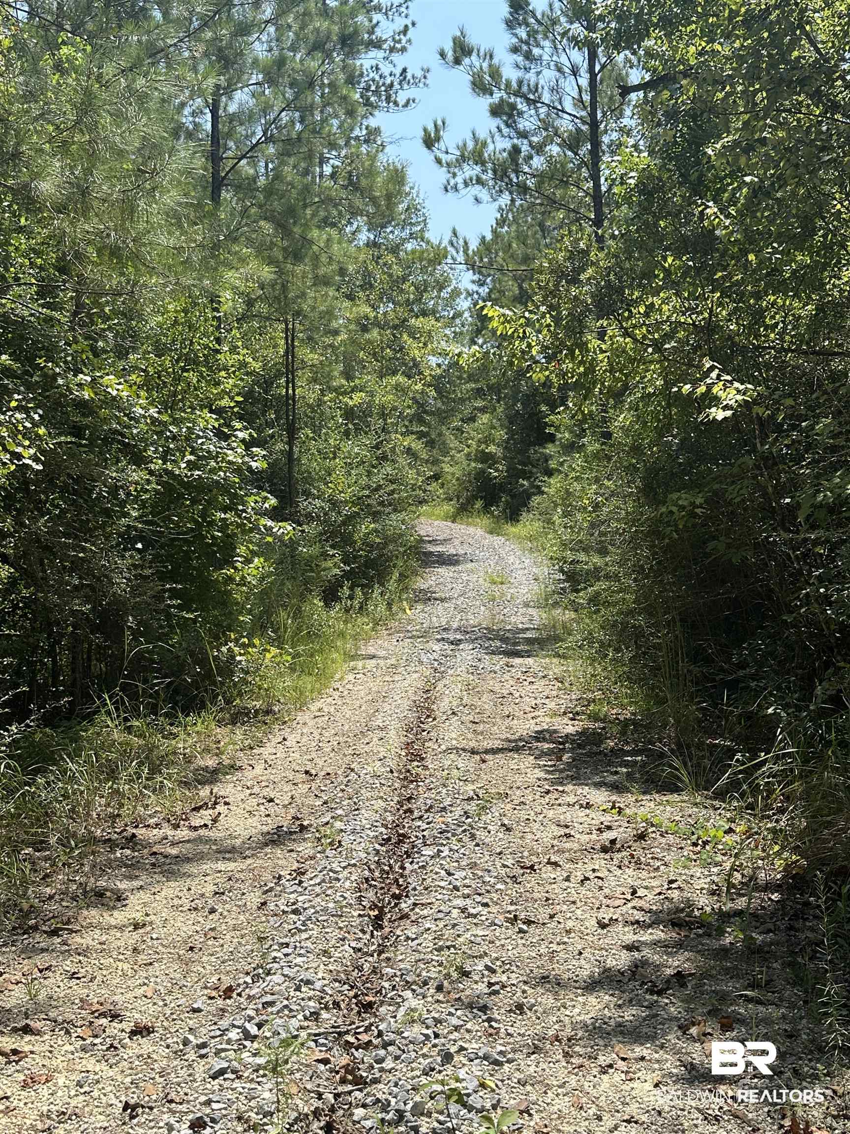 17175 Kelly Road Mount Vernon, AL 36560 - Photo 30 of 30 View of street