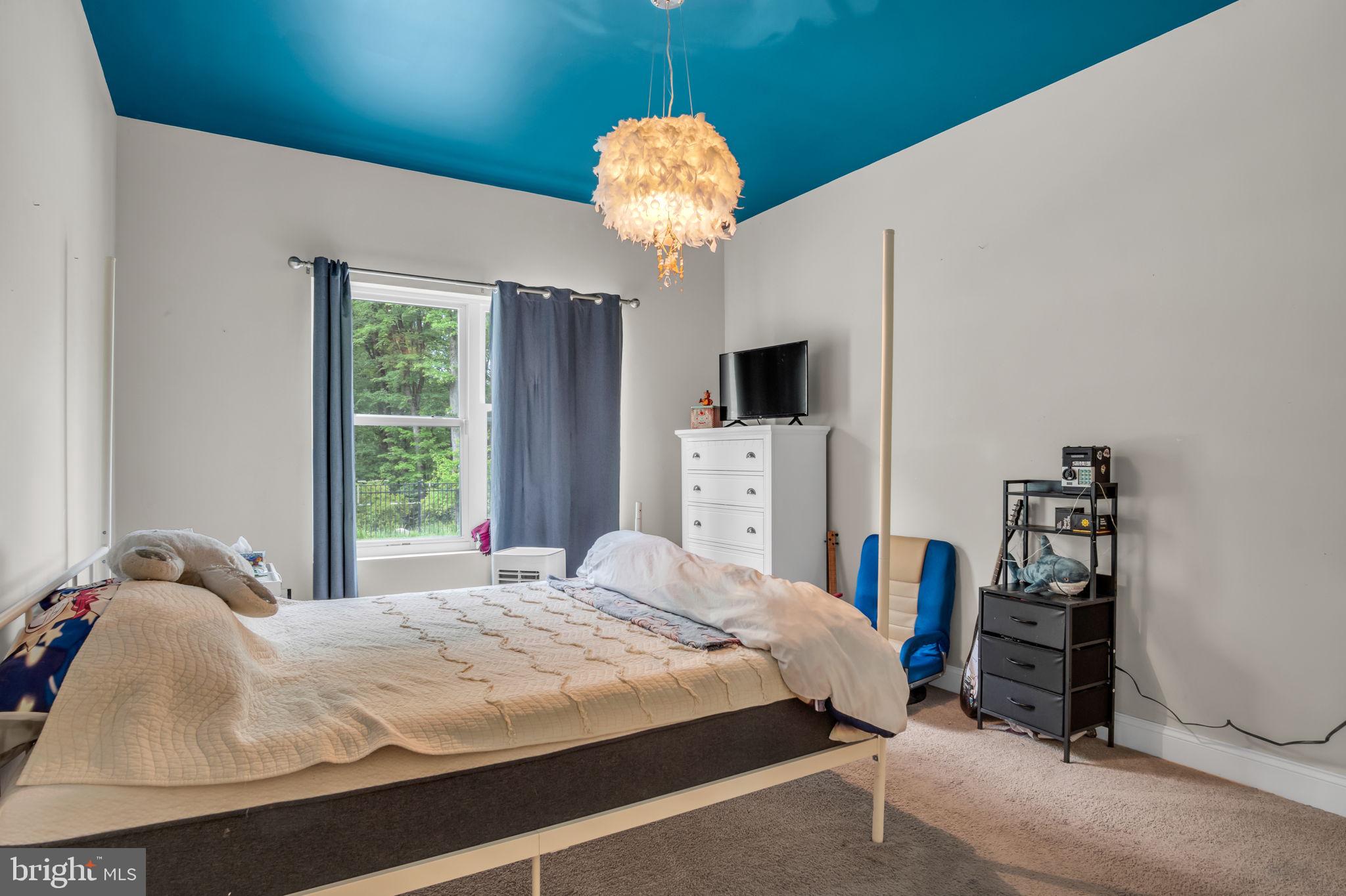 110 Freys Road Elizabethtown, PA 17022 - Photo 15 of 47 Charming room with vibrant blue ceiling.