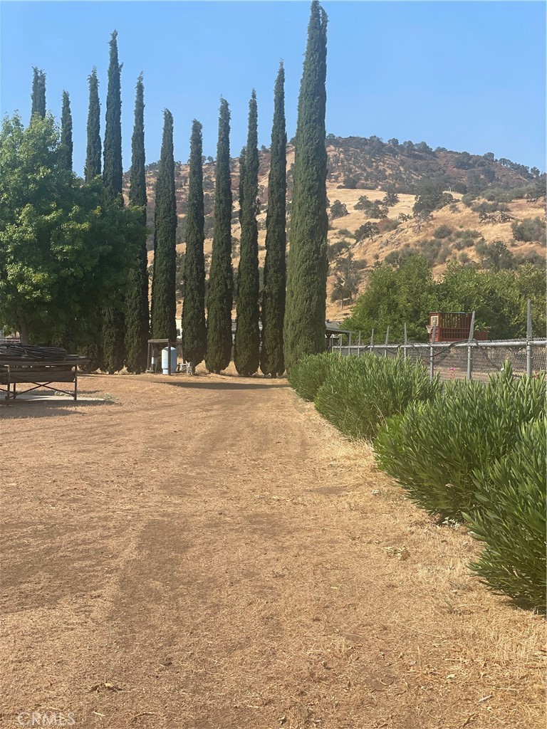 6009 Elwood Road Sanger, CA 93657 - Photo 20 of 43